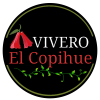 logo copihue